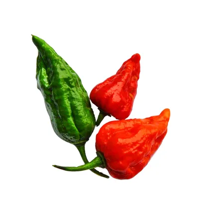 bombay-chilli-5-pcs